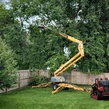 Leaf Removal in Munster, IN